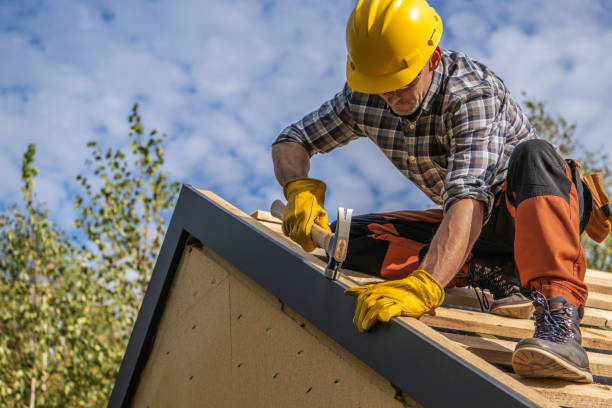 Best Emergency Roof Repair Services  in Palmer, AK